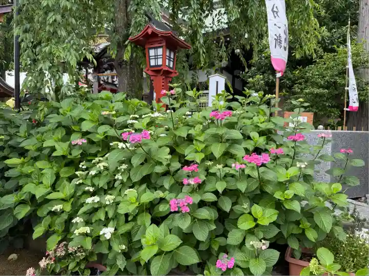 川越八幡宮(埼玉県)