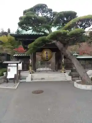 長谷寺の山門・神門