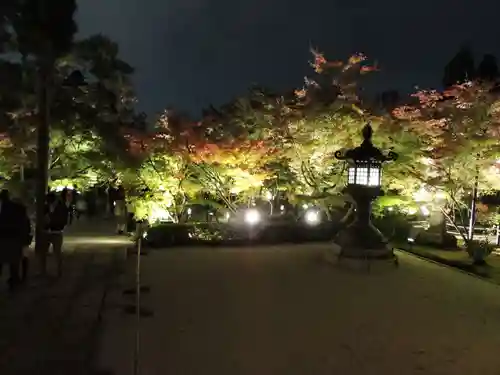 高台寺（高台寿聖禅寺・高臺寺）(京都府)