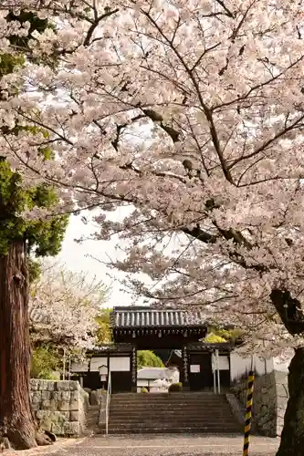 常信寺(愛媛県)