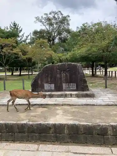 東大寺(奈良県)