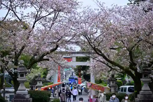 富士山本宮浅間大社の自然