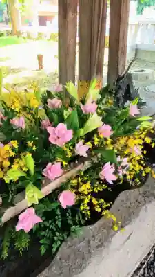 彌彦神社　(伊夜日子神社)の手水舎