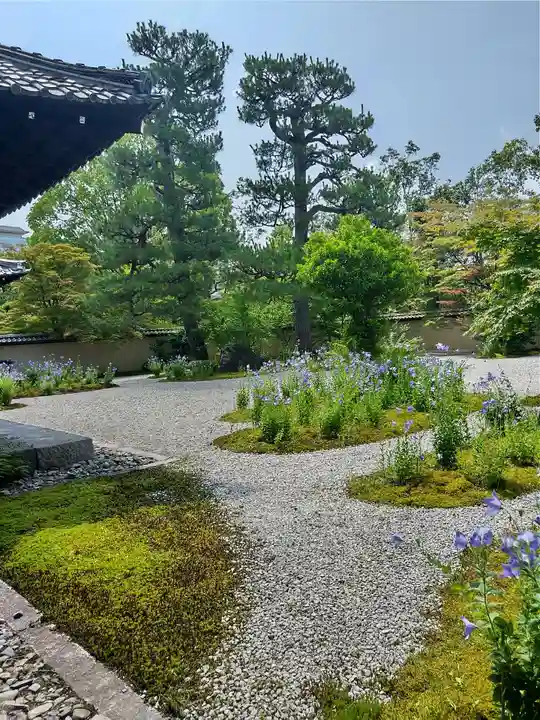 廬山寺(廬山天台講寺)(京都府)