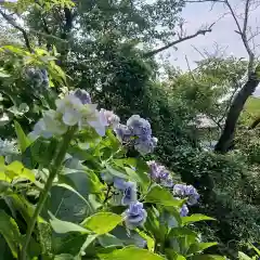 鎮懐石八幡宮(福岡県)