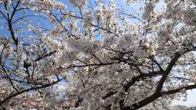 豊川進雄神社(愛知県)