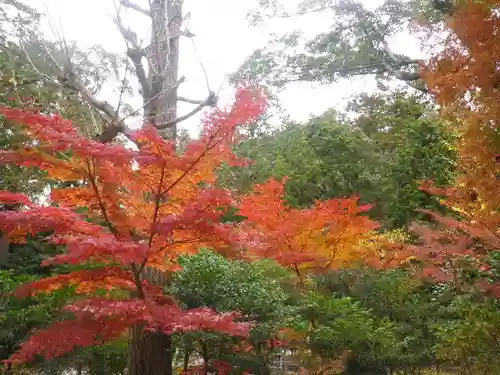 鶴岡八幡宮の自然