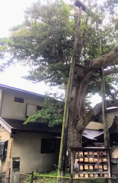 御霊神社(神奈川県)