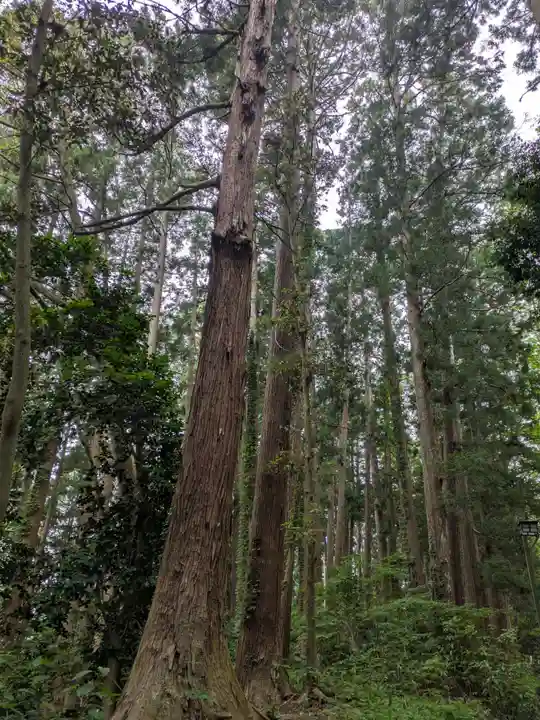 瑞鳳殿(宮城県)
