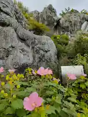 金生山 明星輪寺の自然