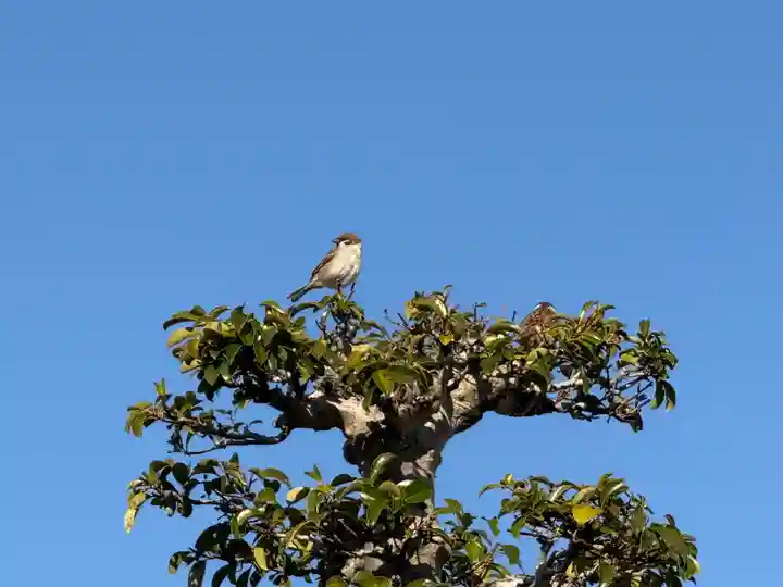 西方山極楽寺(岐阜県)