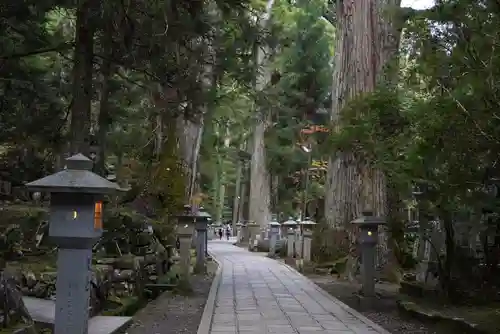 高野山金剛峯寺奥の院(和歌山県)