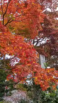 善峯寺(京都府)