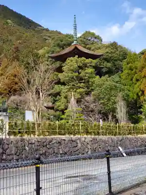 瑠璃光寺の塔