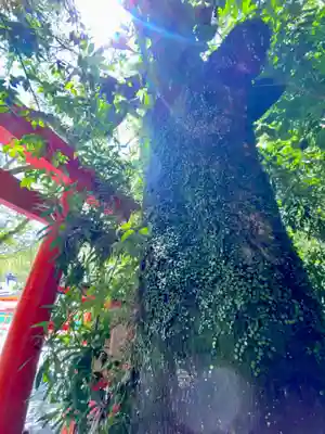 熊野速玉大社(和歌山県)