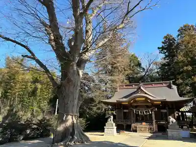 素鵞神社(茨城県)
