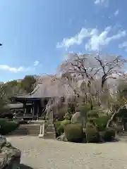 青柳寺(神奈川県)