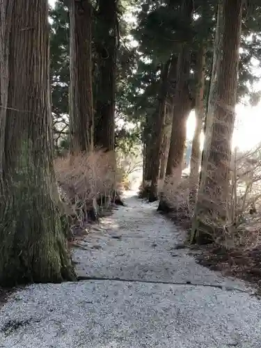 高天彦神社の自然