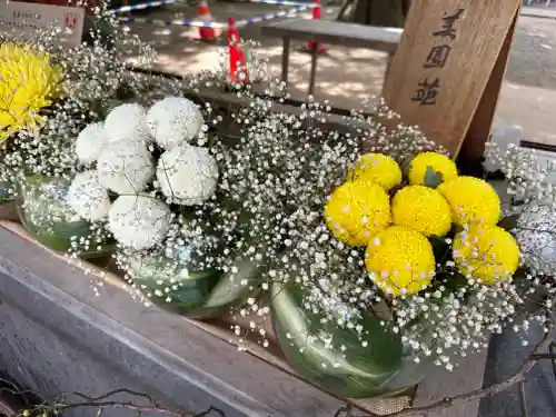 武蔵一宮氷川神社(埼玉県)
