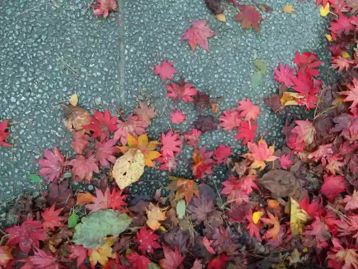 北広島市総鎮守 廣島神社(北海道)
