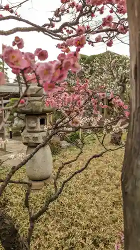 実相寺(東京都)
