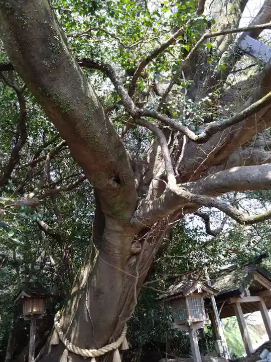 八大龍王水神(宮崎県)