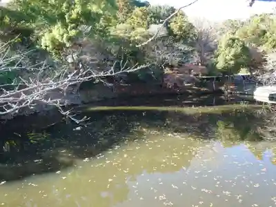 安房神社(千葉県)