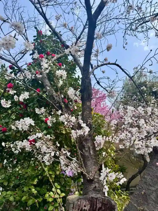 長建寺の{uncategorized: "未分類", other: "その他", undefined: "問題あり", building: "その他建物", grave: "お墓", sacred_gate: "鳥居", guardian: "狛犬", statue: "像", buddha: "仏像", history: "歴史", nature: "自然", garden: "庭園", animal: "動物", pagoda: "塔", temizu: "手水舎", mountain_gate: "山門・神門", sanctuary: "本殿・本堂", subordinate: "末社・摂社", art: "芸術", scenery: "景色", jizo: "地蔵", ema: "絵馬", goshuin: "御朱印", omikuji: "おみくじ", items: "授与品その他", amulet: "お守り", goshuincho: "御朱印帳", eats: "食事", festival: "お祭り", votive_dance: "神楽", shichigosan: "七五三参", wedding: "結婚式", experience: "体験その他", initially: "初詣", around: "周辺", anti_infection: "感染症対策"}