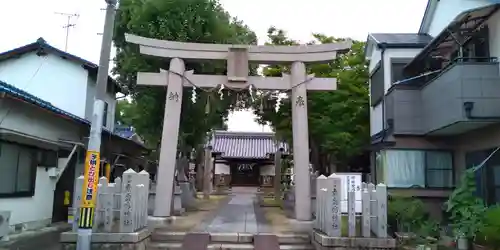 高田素盞嗚神社の鳥居