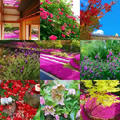 寿量山 速成寺(奈良県)