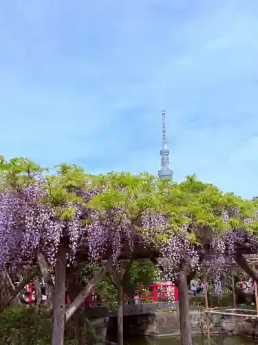 亀戸天神社の{uncategorized: "未分類", other: "その他", undefined: "問題あり", building: "その他建物", grave: "お墓", sacred_gate: "鳥居", guardian: "狛犬", statue: "像", buddha: "仏像", history: "歴史", nature: "自然", garden: "庭園", animal: "動物", pagoda: "塔", temizu: "手水舎", mountain_gate: "山門・神門", sanctuary: "本殿・本堂", subordinate: "末社・摂社", art: "芸術", scenery: "景色", jizo: "地蔵", ema: "絵馬", goshuin: "御朱印", omikuji: "おみくじ", items: "授与品その他", amulet: "お守り", goshuincho: "御朱印帳", eats: "食事", festival: "お祭り", votive_dance: "神楽", shichigosan: "七五三参", wedding: "結婚式", experience: "体験その他", initially: "初詣", around: "周辺", anti_infection: "感染症対策"}