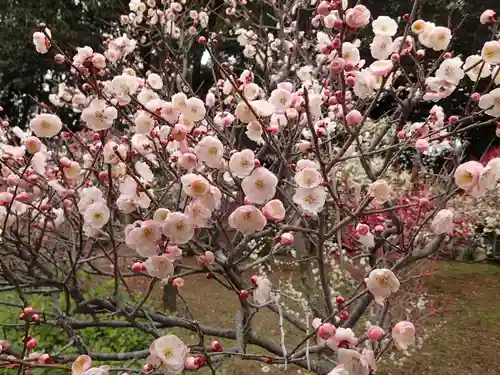 道明寺天満宮の庭園