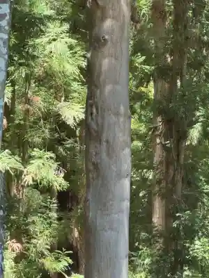 諏訪大社下社秋宮(長野県)