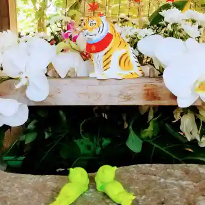 彌彦神社　(伊夜日子神社)の手水舎