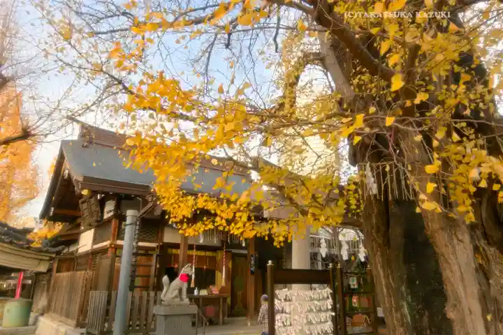飛木稲荷神社(東京都)