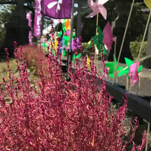 高司神社〜むすびの神の鎮まる社〜の庭園