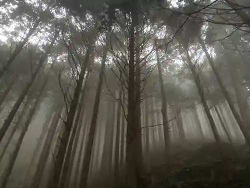 武蔵御嶽神社の自然