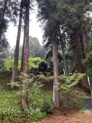 大宮温泉神社(栃木県)