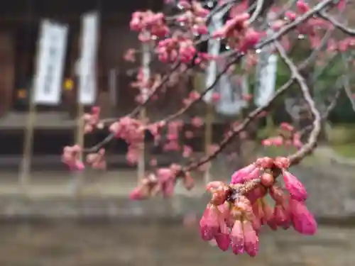 杉本寺(神奈川県)