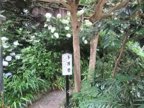 円覚寺(神奈川県)