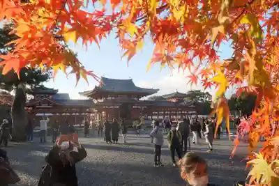 平等院のその他建物