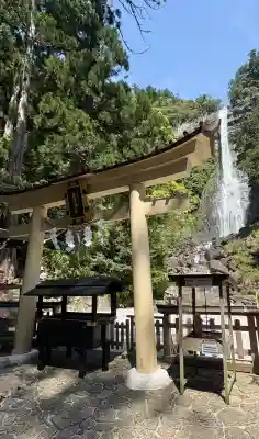 飛瀧神社（熊野那智大社別宮）の{uncategorized: "未分類", other: "その他", undefined: "問題あり", building: "その他建物", grave: "お墓", sacred_gate: "鳥居", guardian: "狛犬", statue: "像", buddha: "仏像", history: "歴史", nature: "自然", garden: "庭園", animal: "動物", pagoda: "塔", temizu: "手水舎", mountain_gate: "山門・神門", sanctuary: "本殿・本堂", subordinate: "末社・摂社", art: "芸術", scenery: "景色", jizo: "地蔵", ema: "絵馬", goshuin: "御朱印", omikuji: "おみくじ", items: "授与品その他", amulet: "お守り", goshuincho: "御朱印帳", eats: "食事", festival: "お祭り", votive_dance: "神楽", shichigosan: "七五三参", wedding: "結婚式", experience: "体験その他", initially: "初詣", around: "周辺", anti_infection: "感染症対策"}