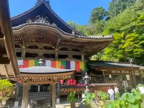 岡寺（龍蓋寺）(奈良県)
