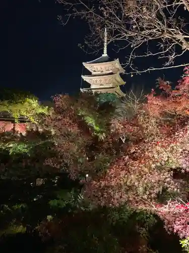 東寺（教王護国寺）の景色