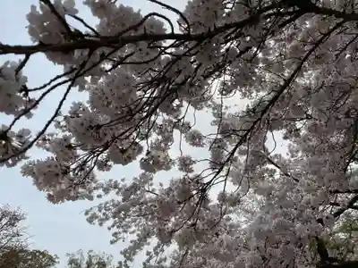 醍醐寺(京都府)