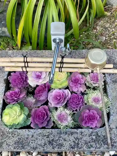 正覚院の手水舎