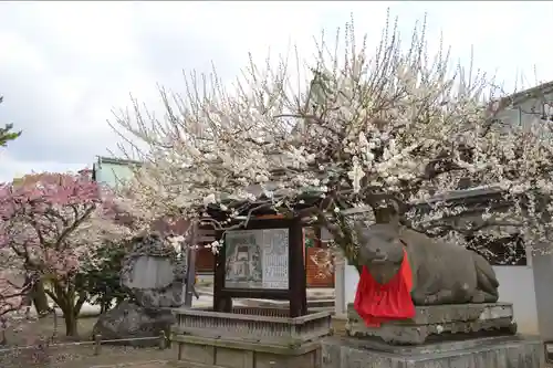 北野天満宮(京都府)