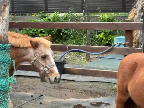 五方山熊野神社(東京都)
