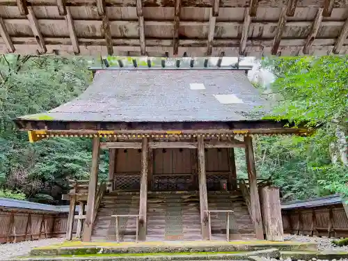 若狭彦神社（上社）の本殿・本堂