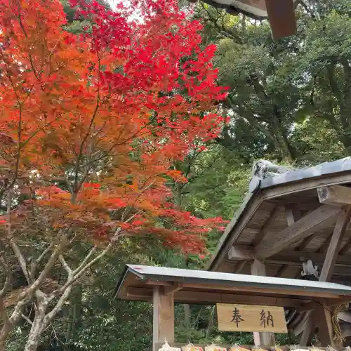 天之御中主尊神社(滋賀県)